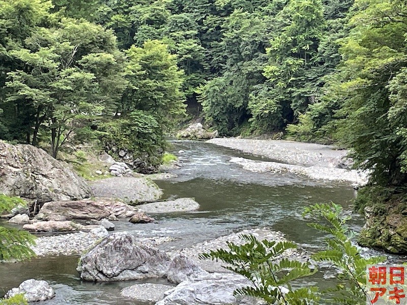 神流川　鮎釣り