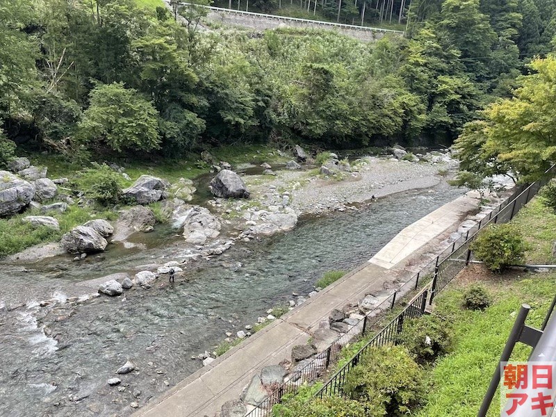 鮎　神流川　