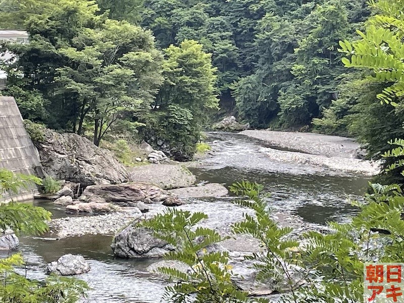 鮎　神流川　