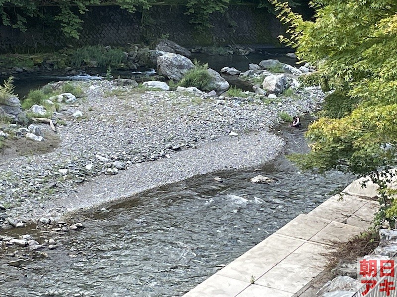 神流川　鮎 