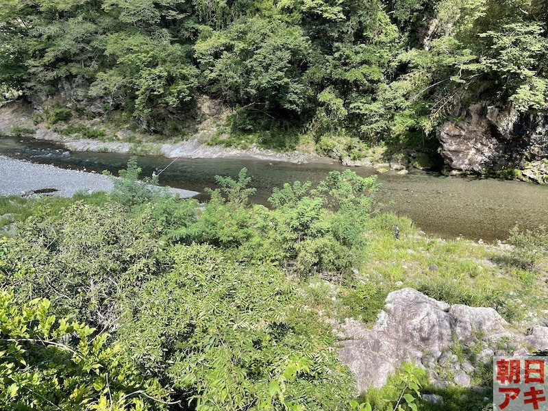 神流川　鮎 