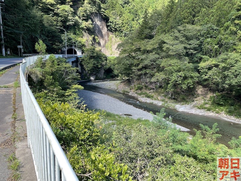 神流川　鮎 