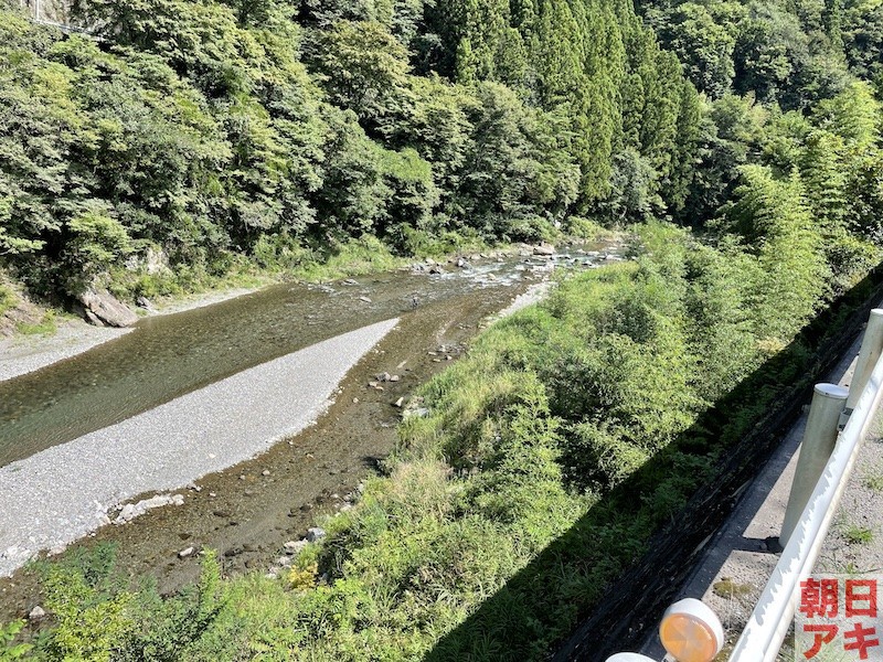 神流川　鮎 