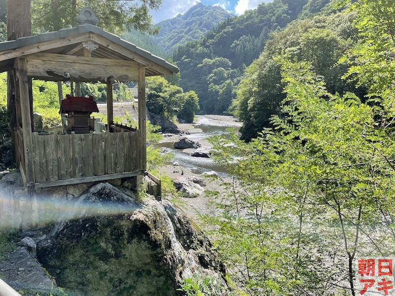 神流川　鮎 