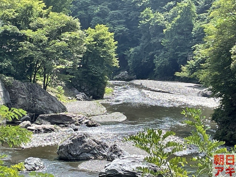 神流川　鮎 