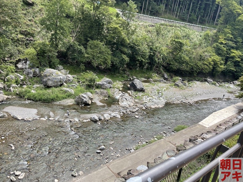 神流川 鮎 