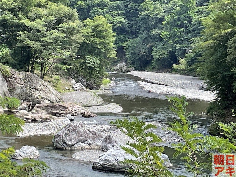 神流川 鮎 