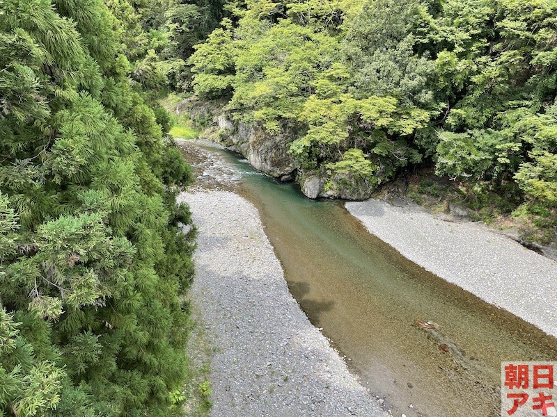 神流川 鮎 