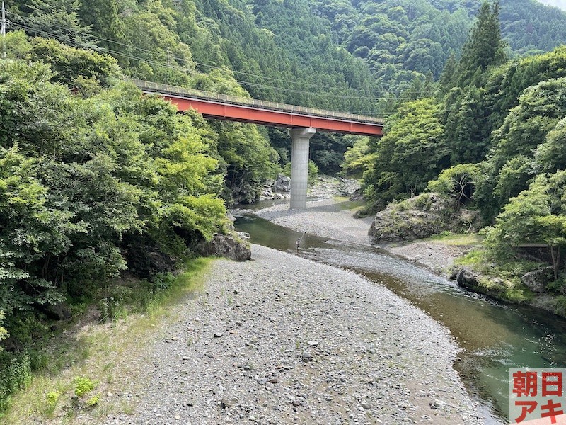 神流川 鮎 