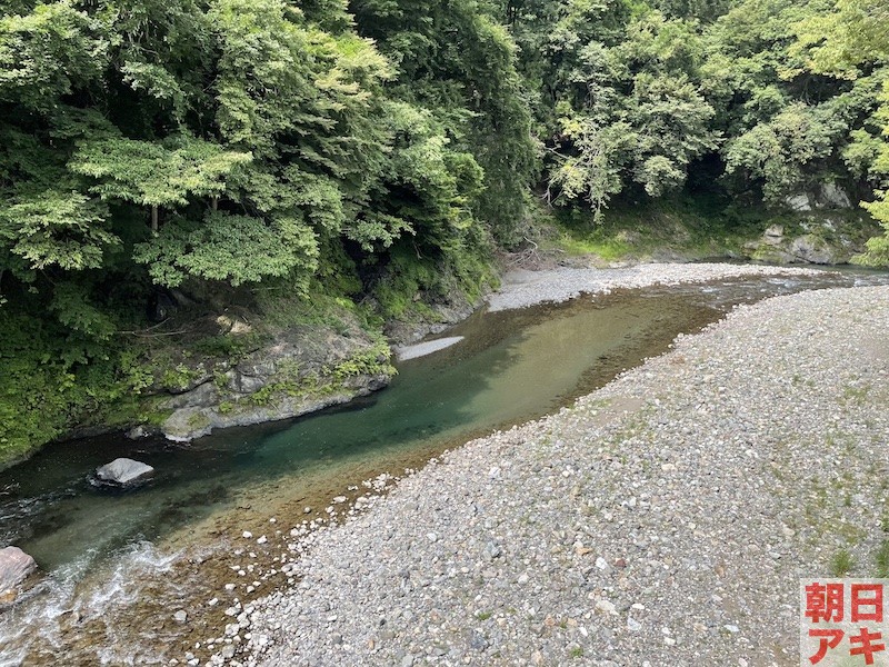 神流川 鮎 