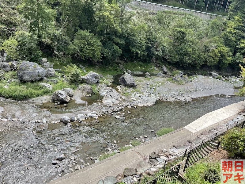 神流川　鮎 