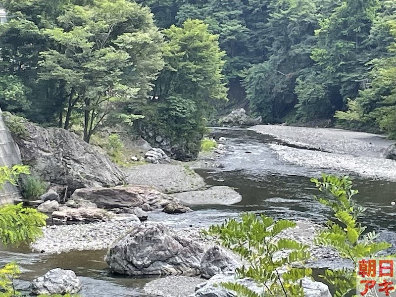 神流川　鮎 