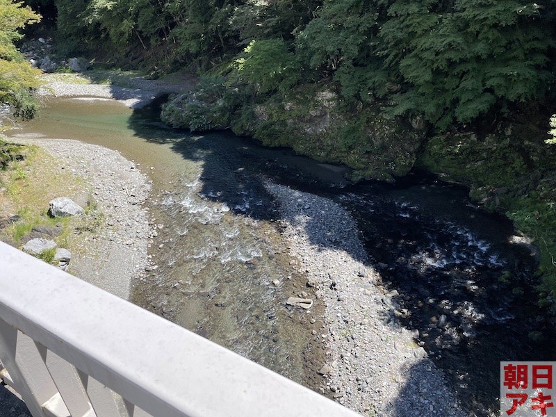 神流川　鮎　