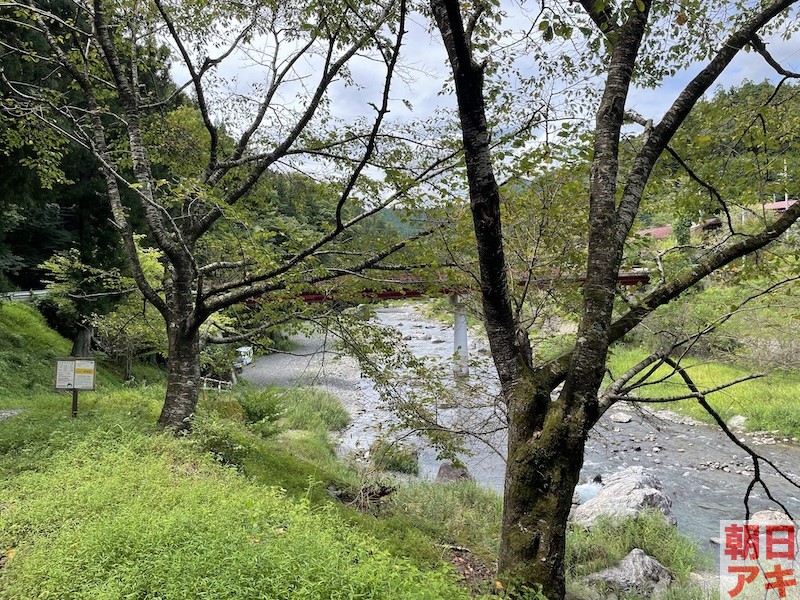 神流川 鮎 