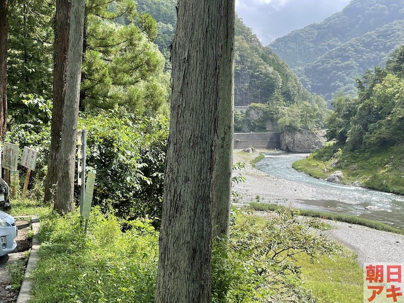 神流川 鮎 