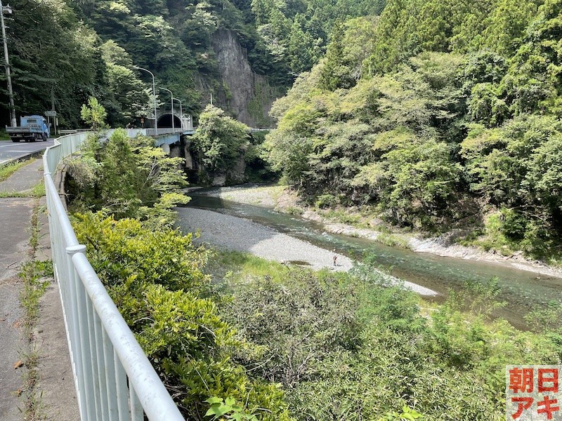 神流川 鮎 