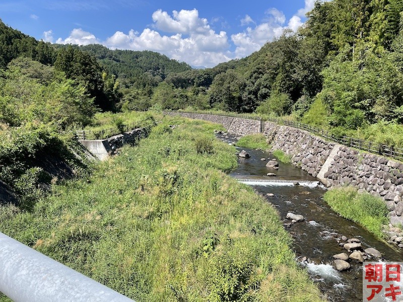 渡良瀬川　鮎　