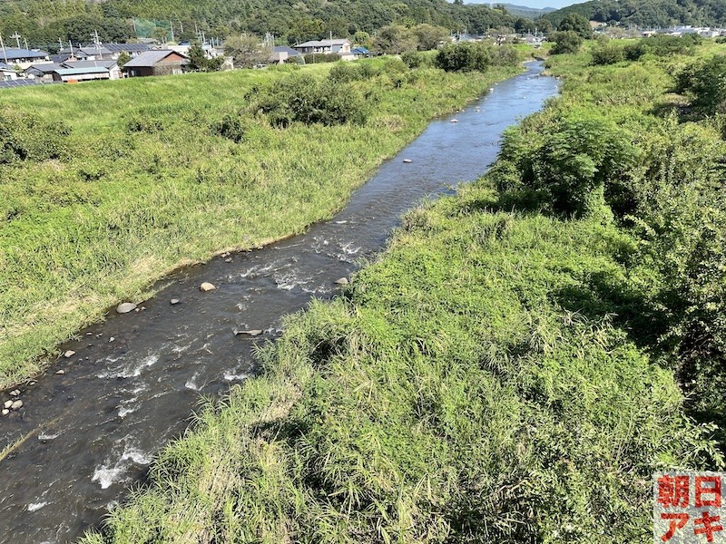 渡良瀬川　鮎　