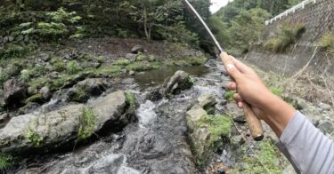 秩父漁協の渓流釣り：シビアな秩父の最後はほぼ坊主でした