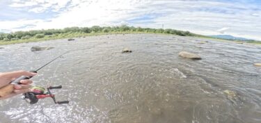 利根川の鮎釣り：前日の雨で濁りがあり、アユイングの坊主です