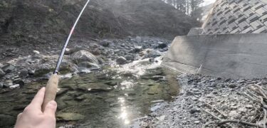 秩父漁協の渓流釣り：初めての解禁当日は頭跳ねでした