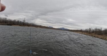 利根川の本流釣り：雪のあとは全くの無反応でした