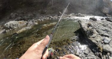 神流川の渓流釣り：解禁初期の2度目の釣行も生命感は感じられず