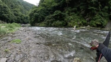 神流川の鮎釣り：血だらけの囮鮎は厳しかったです。
