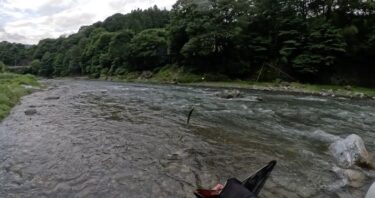 神流川の鮎釣り：いつも通りの低釣果