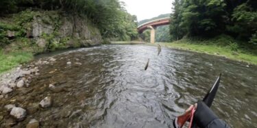 神流川の鮎釣り：丁寧、辛抱の釣りでようやく時速1匹でした。