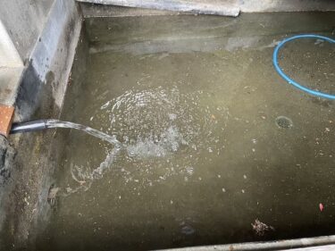2025年鮎釣り準備